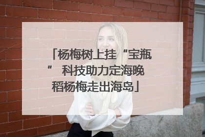 杨梅树上挂“宝瓶” 科技助力定海晚稻杨梅走出海岛