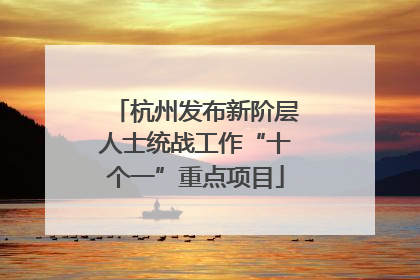 杭州发布新阶层人士统战工作“十个一”重点项目