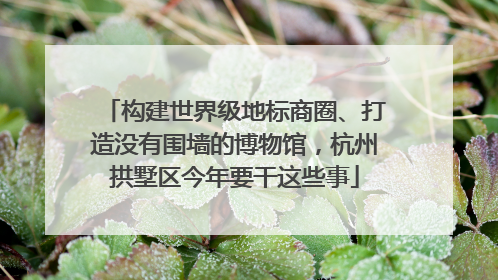 构建世界级地标商圈、打造没有围墙的博物馆，杭州拱墅区今年要干这些事