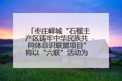 枣庄峄城“石榴主产区铸牢中华民族共同体意识联盟项目”将以“六联”活动为抓手深化品牌建设