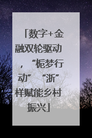 数字+金融双轮驱动，“栀梦行动”“浙”样赋能乡村振兴