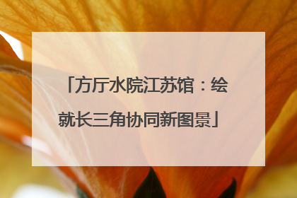 方厅水院江苏馆：绘就长三角协同新图景
