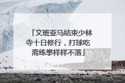 文班亚马结束少林寺十日修行，打球吃斋练拳样样不落