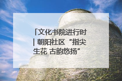 文化书院进行时｜朝阳社区“指尖生花 古韵悠扬”公益课堂开课了