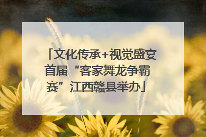 文化传承+视觉盛宴 首届“客家舞龙争霸赛”江西赣县举办