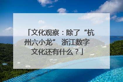 文化观察：除了“杭州六小龙” 浙江数字文化还有什么？