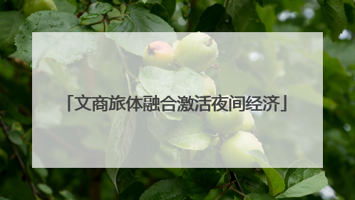 文商旅体融合激活夜间经济