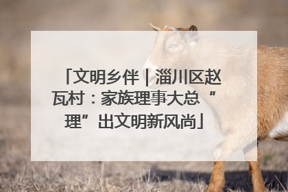 文明乡伴｜淄川区赵瓦村：家族理事大总“理”出文明新风尚