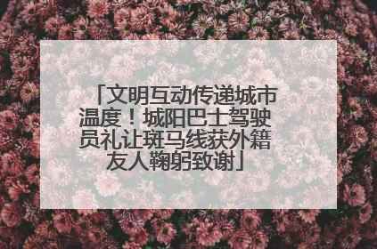文明互动传递城市温度！城阳巴士驾驶员礼让斑马线获外籍友人鞠躬致谢