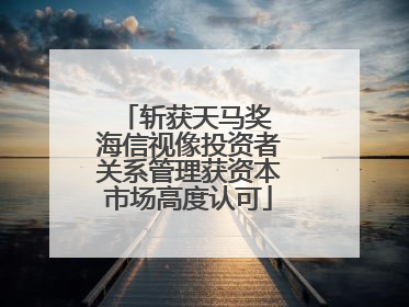 斩获天马奖 海信视像投资者关系管理获资本市场高度认可