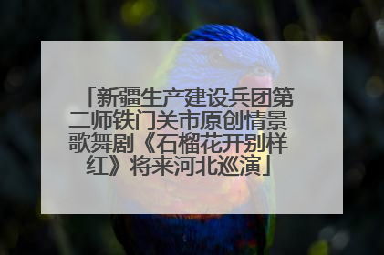 新疆生产建设兵团第二师铁门关市原创情景歌舞剧《石榴花开别样红》将来河北巡演