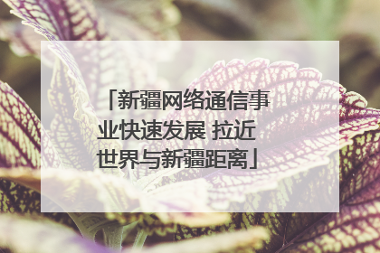新疆网络通信事业快速发展 拉近世界与新疆距离