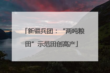 新疆兵团：“两吨粮田”示范田创高产