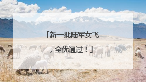 新一批陆军女飞，全优通过！
