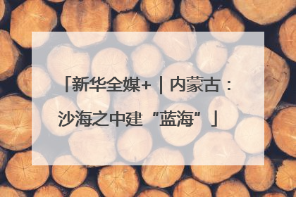 新华全媒+｜内蒙古：沙海之中建“蓝海”
