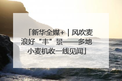 新华全媒+｜风吹麦浪好“丰”景——多地小麦机收一线见闻