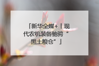 新华全媒+丨现代农机装备驰骋“黑土粮仓”