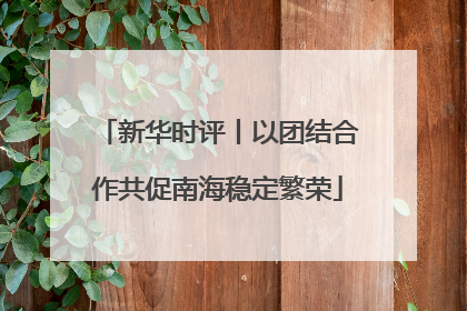 新华时评丨以团结合作共促南海稳定繁荣