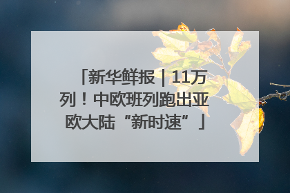 新华鲜报｜11万列！中欧班列跑出亚欧大陆“新时速”