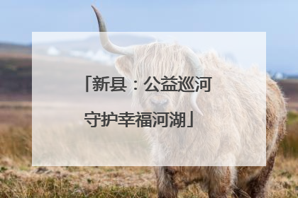 新县：公益巡河守护幸福河湖