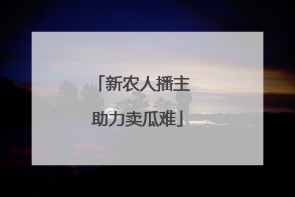 新农人播主 助力卖瓜难