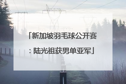 新加坡羽毛球公开赛：陆光祖获男单亚军