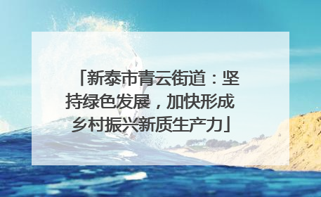 新泰市青云街道：坚持绿色发展，加快形成乡村振兴新质生产力