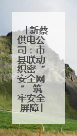 新蔡供电公司：市县联动织密“安全网” 筑牢安全屏障