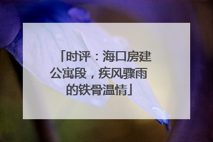 时评：海口房建公寓段，疾风骤雨的铁骨温情