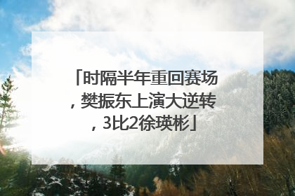 时隔半年重回赛场，樊振东上演大逆转，3比2徐瑛彬