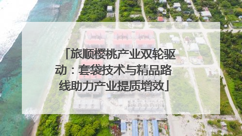旅顺樱桃产业双轮驱动：套袋技术与精品路线助力产业提质增效