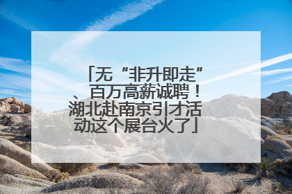 无“非升即走”、百万高薪诚聘！湖北赴南京引才活动这个展台火了