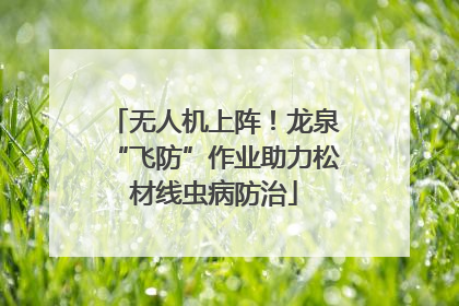无人机上阵！龙泉“飞防”作业助力松材线虫病防治