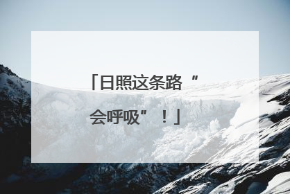 日照这条路“会呼吸”！