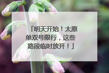 明天开始！太原单双号限行，这些路段临时放开！