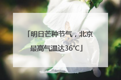 明日芒种节气，北京最高气温达36℃