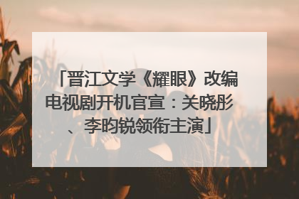 晋江文学《耀眼》改编电视剧开机官宣：关晓彤、李昀锐领衔主演