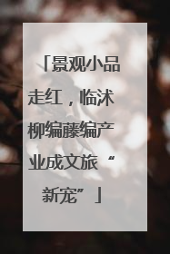 景观小品走红，临沭柳编藤编产业成文旅“新宠”