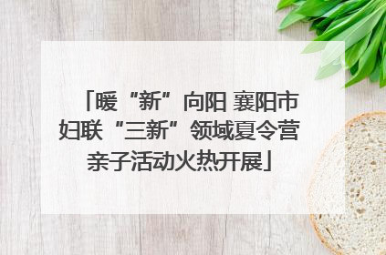 暖“新”向阳 襄阳市妇联“三新”领域夏令营亲子活动火热开展