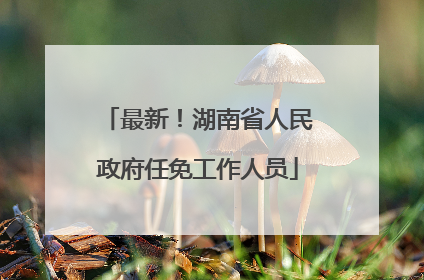 最新！湖南省人民政府任免工作人员