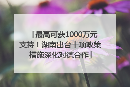 最高可获1000万元支持！湖南出台十项政策措施深化对德合作
