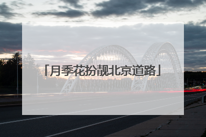月季花扮靓北京道路
