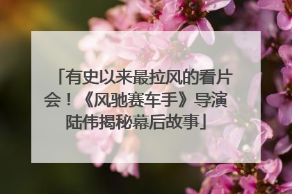 有史以来最拉风的看片会！《风驰赛车手》导演陆伟揭秘幕后故事