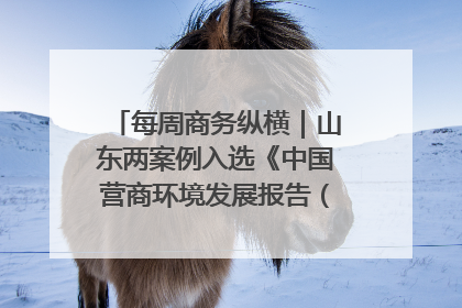 每周商务纵横｜山东两案例入选《中国营商环境发展报告（2025）》；山东外贸优品购物季进机关活动在济南举办