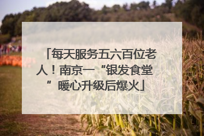 每天服务五六百位老人！南京一“银发食堂”暖心升级后爆火