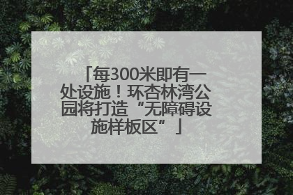 每300米即有一处设施！环杏林湾公园将打造“无障碍设施样板区”