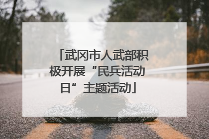 武冈市人武部积极开展“民兵活动日”主题活动