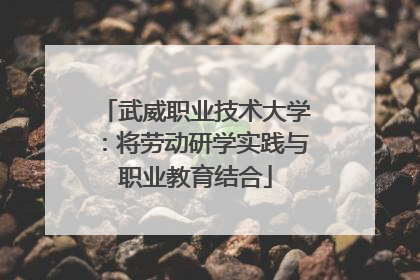 武威职业技术大学：将劳动研学实践与职业教育结合