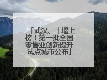 武汉、十堰上榜！第一批全国零售业创新提升试点城市公布