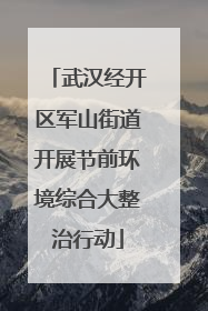 武汉经开区军山街道开展节前环境综合大整治行动